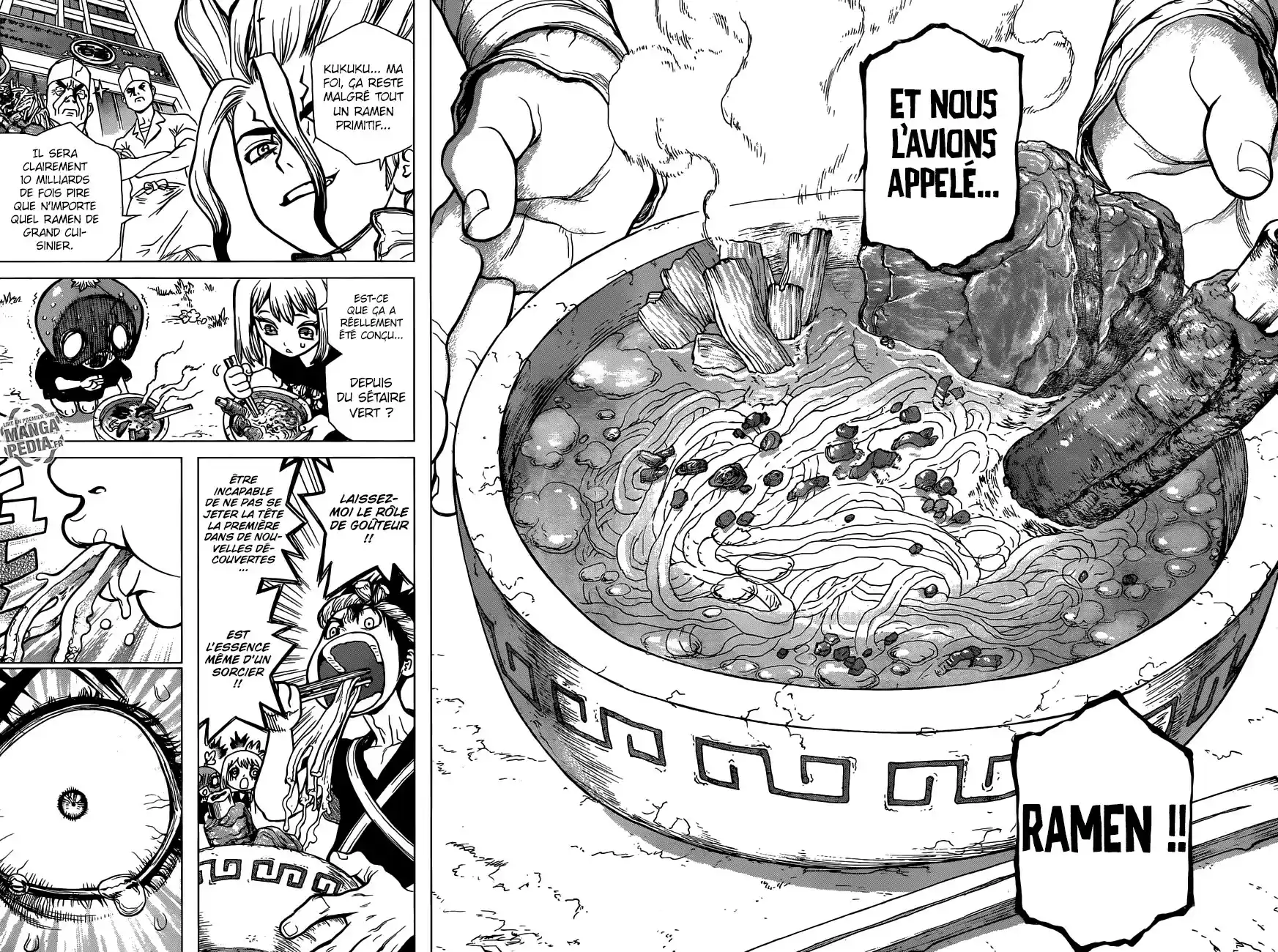Read Dr. Stone FR Manga Online