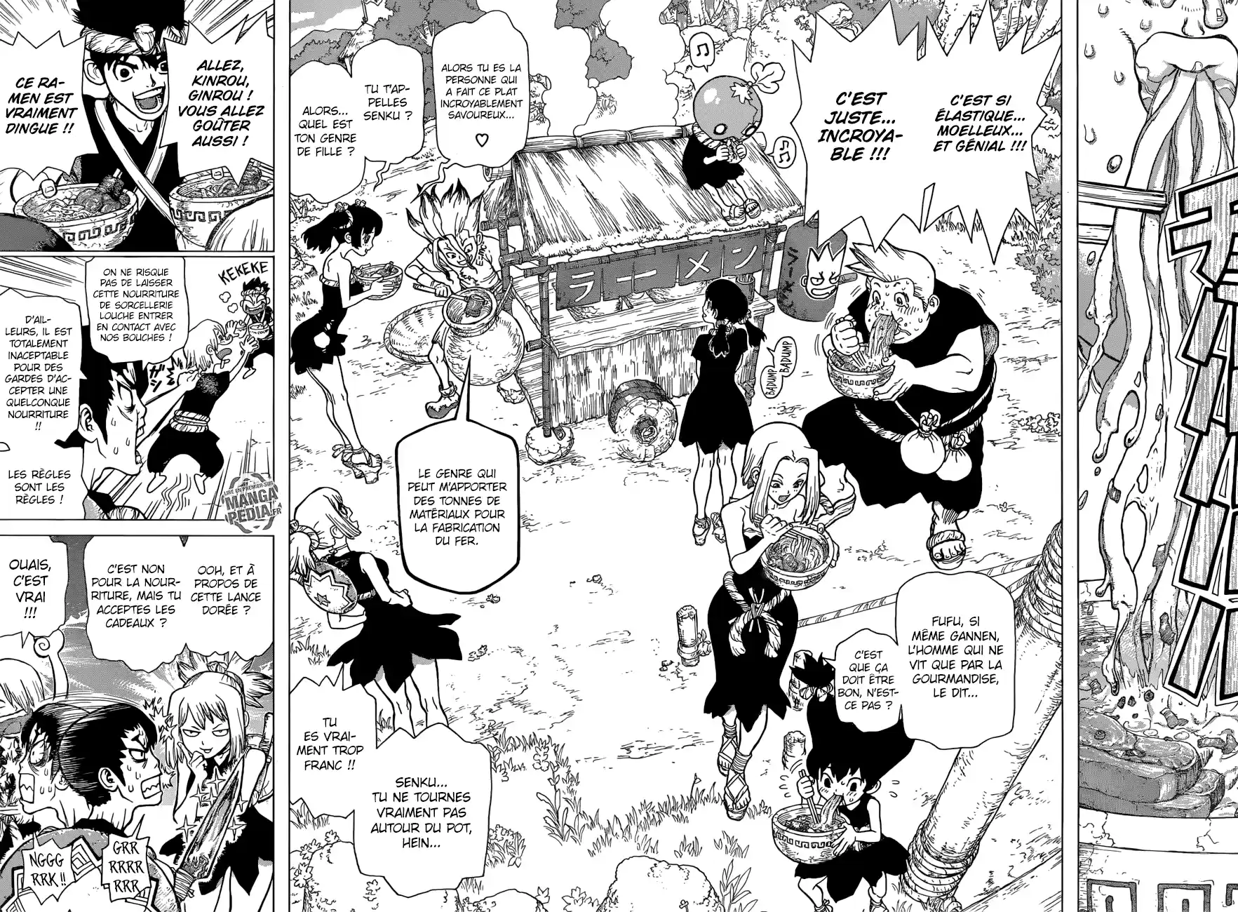 Read Dr. Stone FR Manga Online