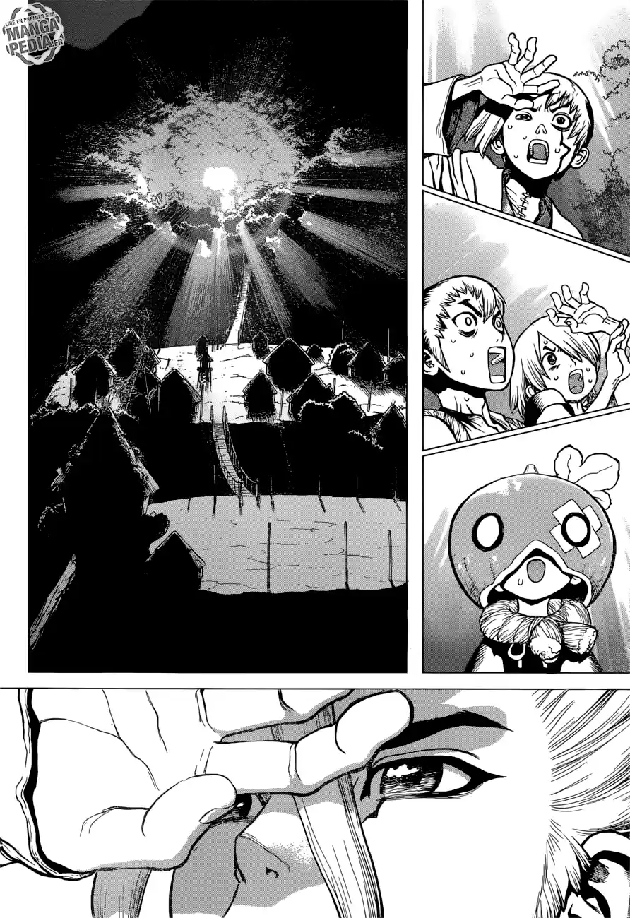 Read Dr. Stone FR Manga Online