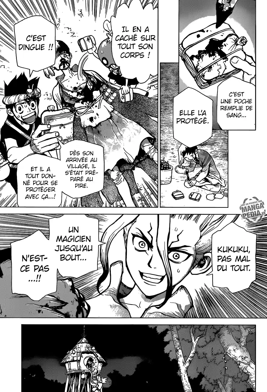 Read Dr. Stone FR Manga Online