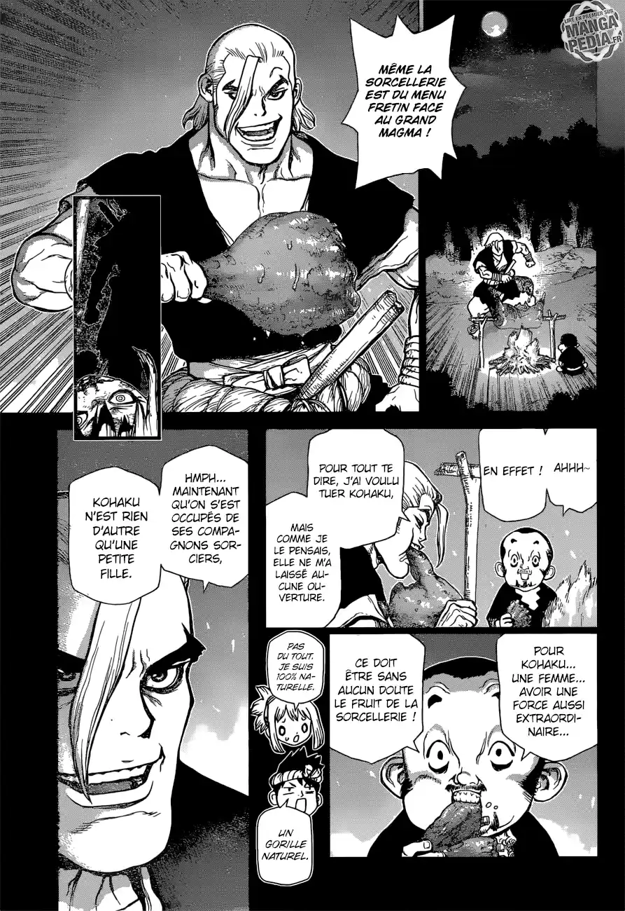 Read Dr. Stone FR Manga Online