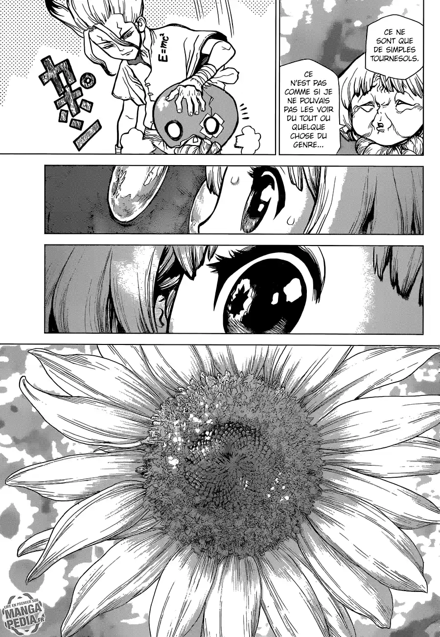 Read Dr. Stone FR Manga Online