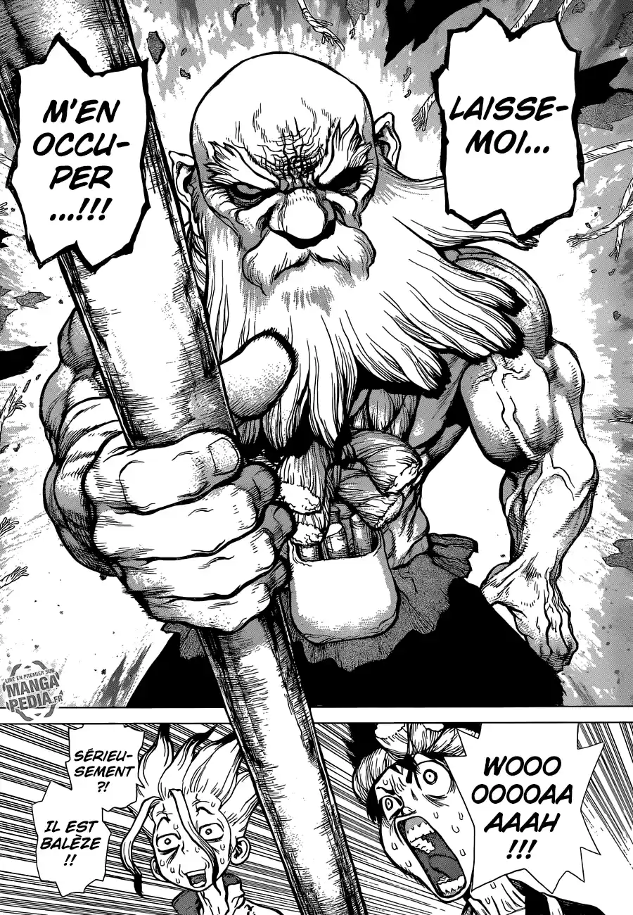 Read Dr. Stone FR Manga Online