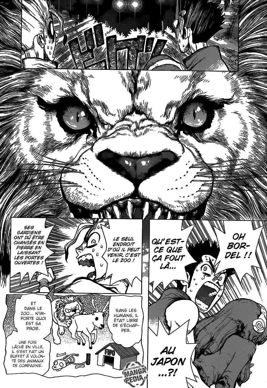 Read Dr. Stone FR Manga Online