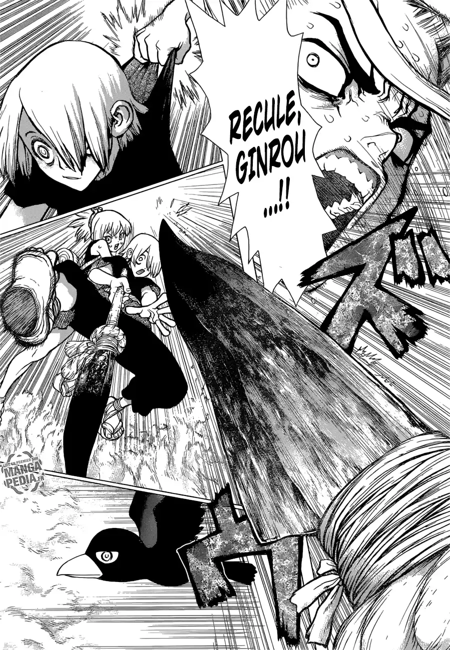 Read Dr. Stone FR Manga Online
