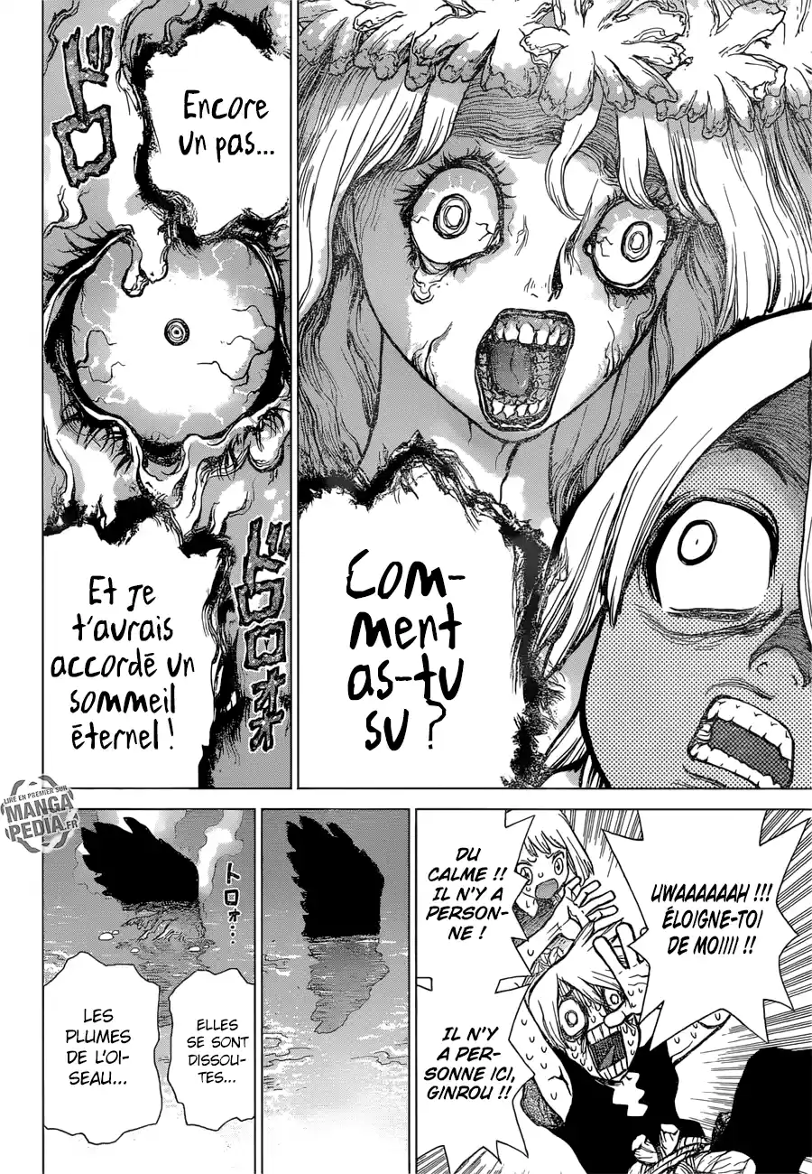 Read Dr. Stone FR Manga Online