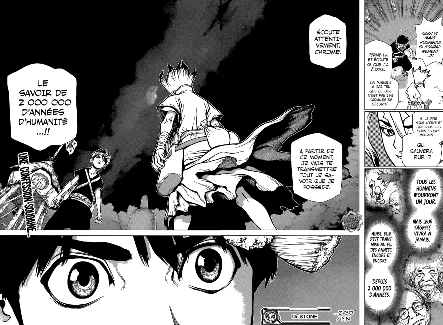 Read Dr. Stone FR Manga Online
