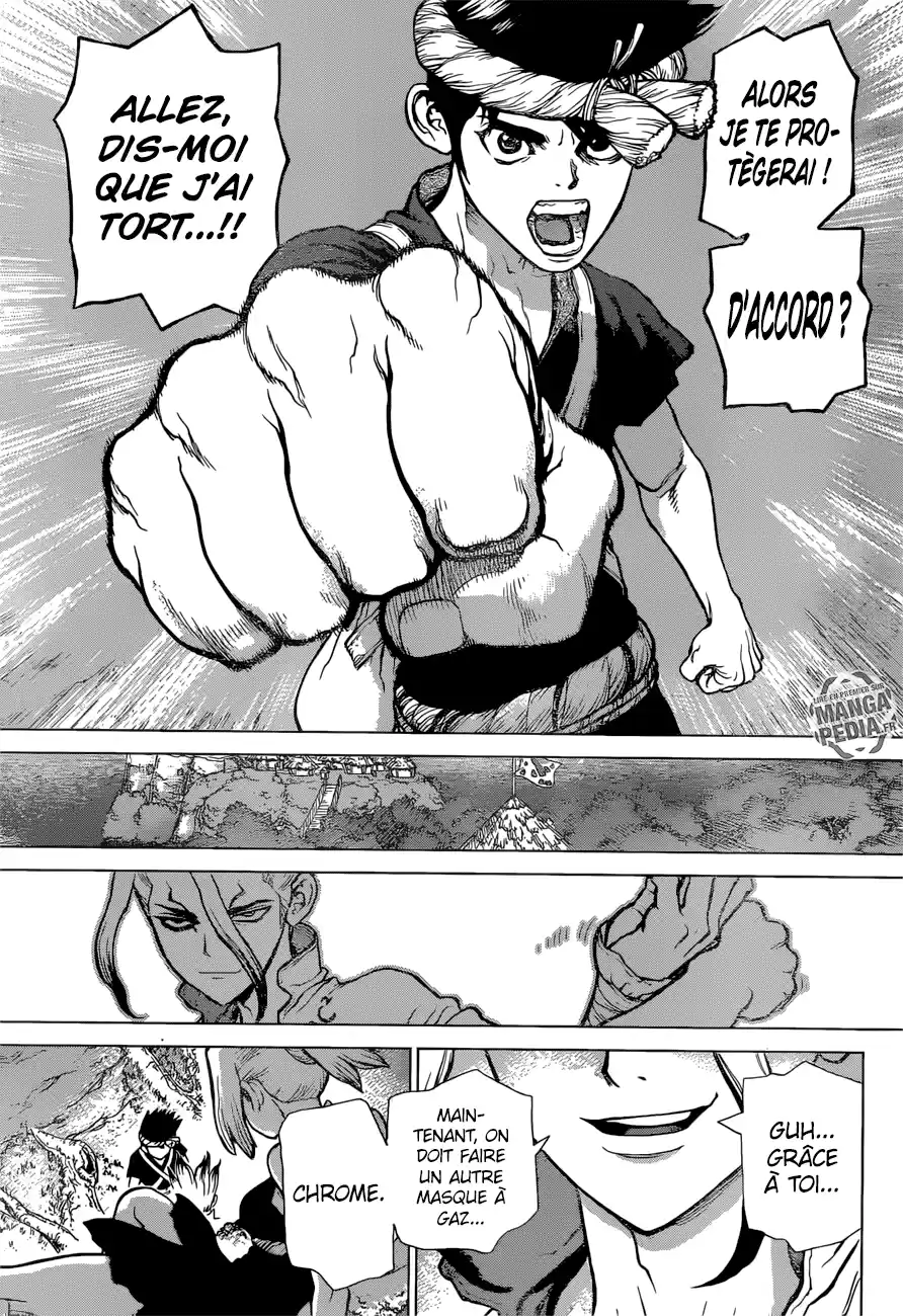 Read Dr. Stone FR Manga Online