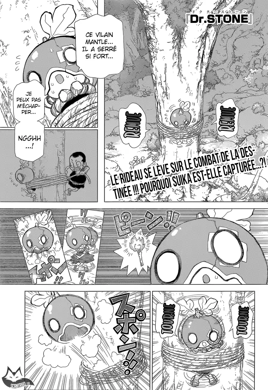 Read Dr. Stone FR Manga Online