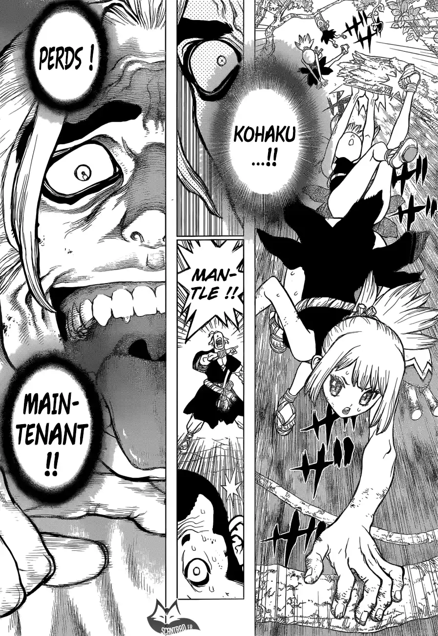 Read Dr. Stone FR Manga Online