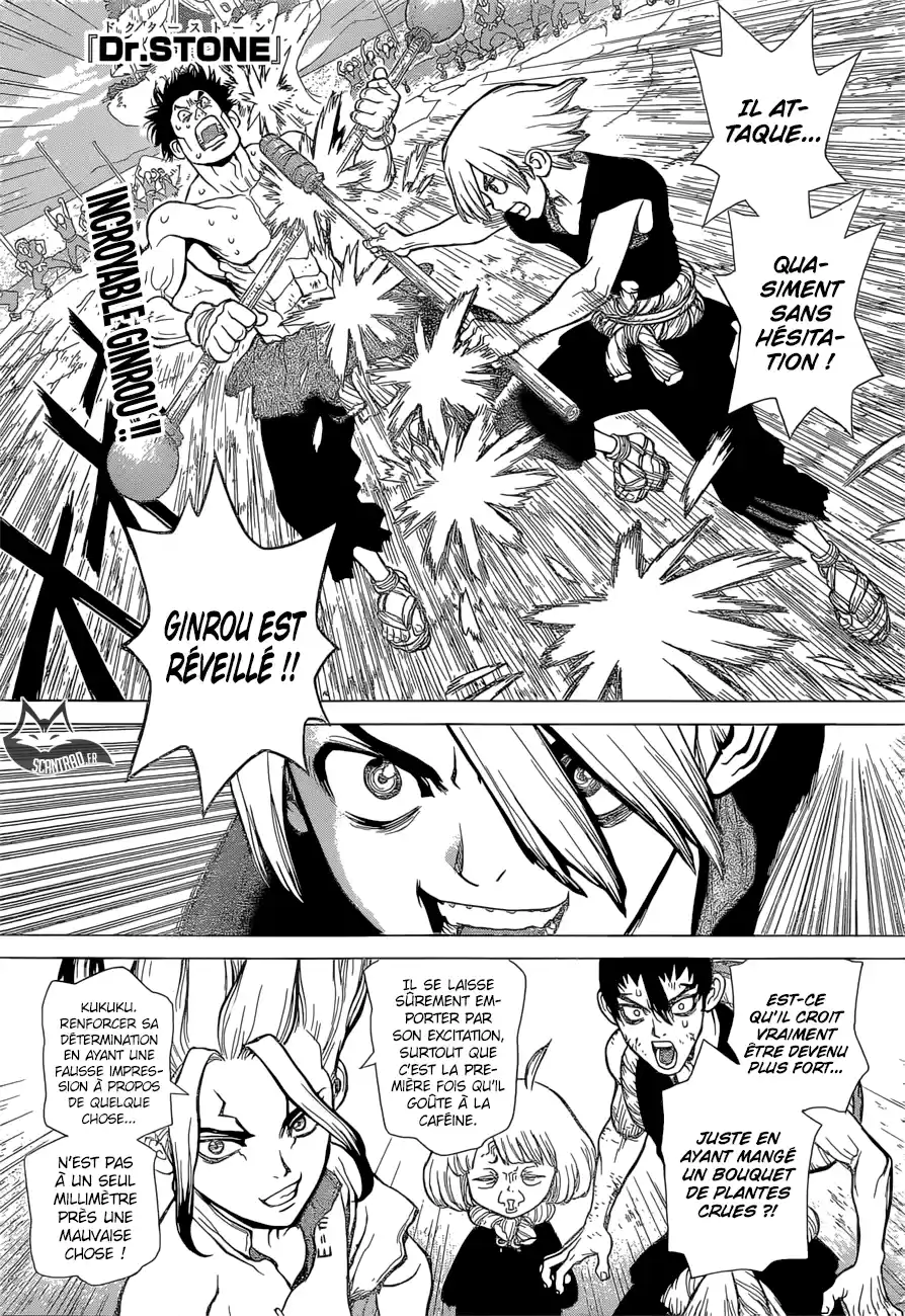 Read Dr. Stone FR Manga Online