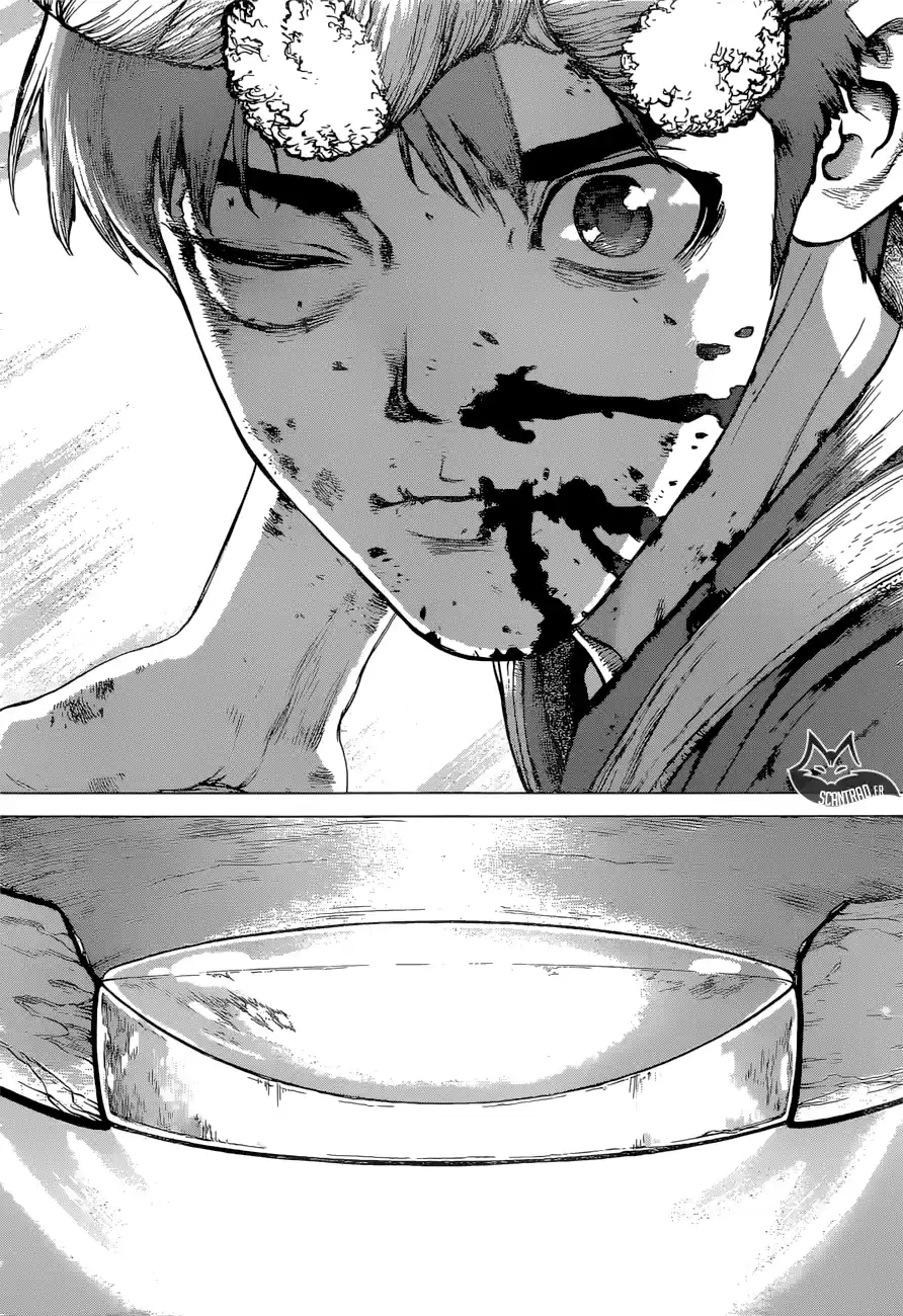 Read Dr. Stone FR Manga Online