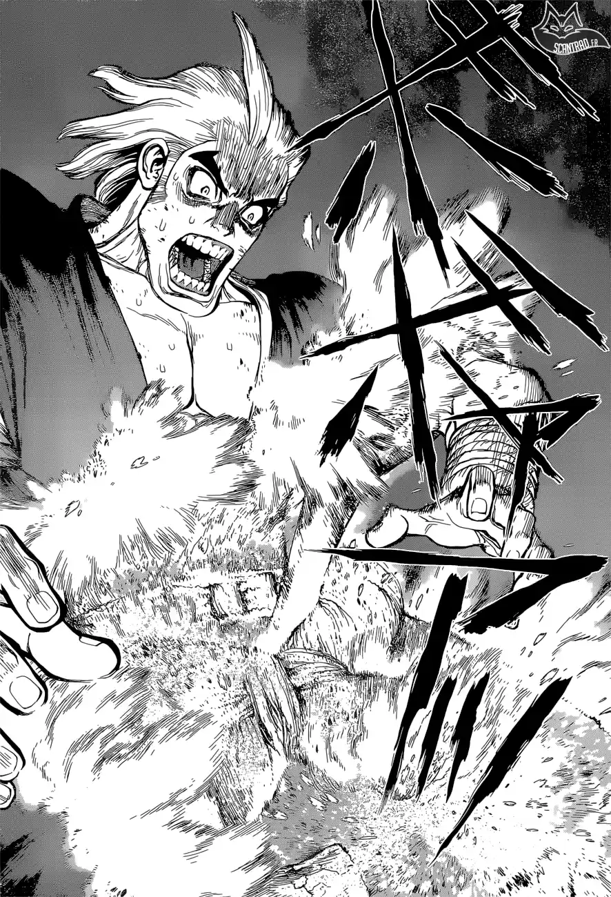 Read Dr. Stone FR Manga Online