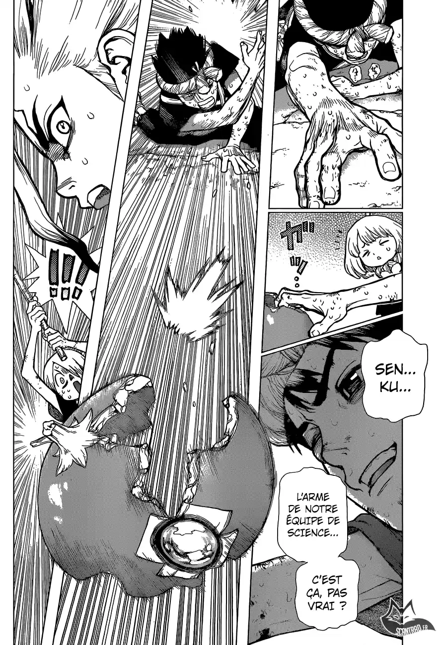 Read Dr. Stone FR Manga Online