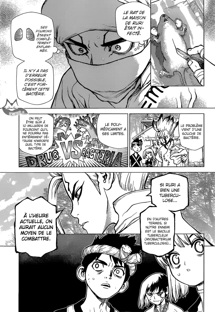 Read Dr. Stone FR Manga Online