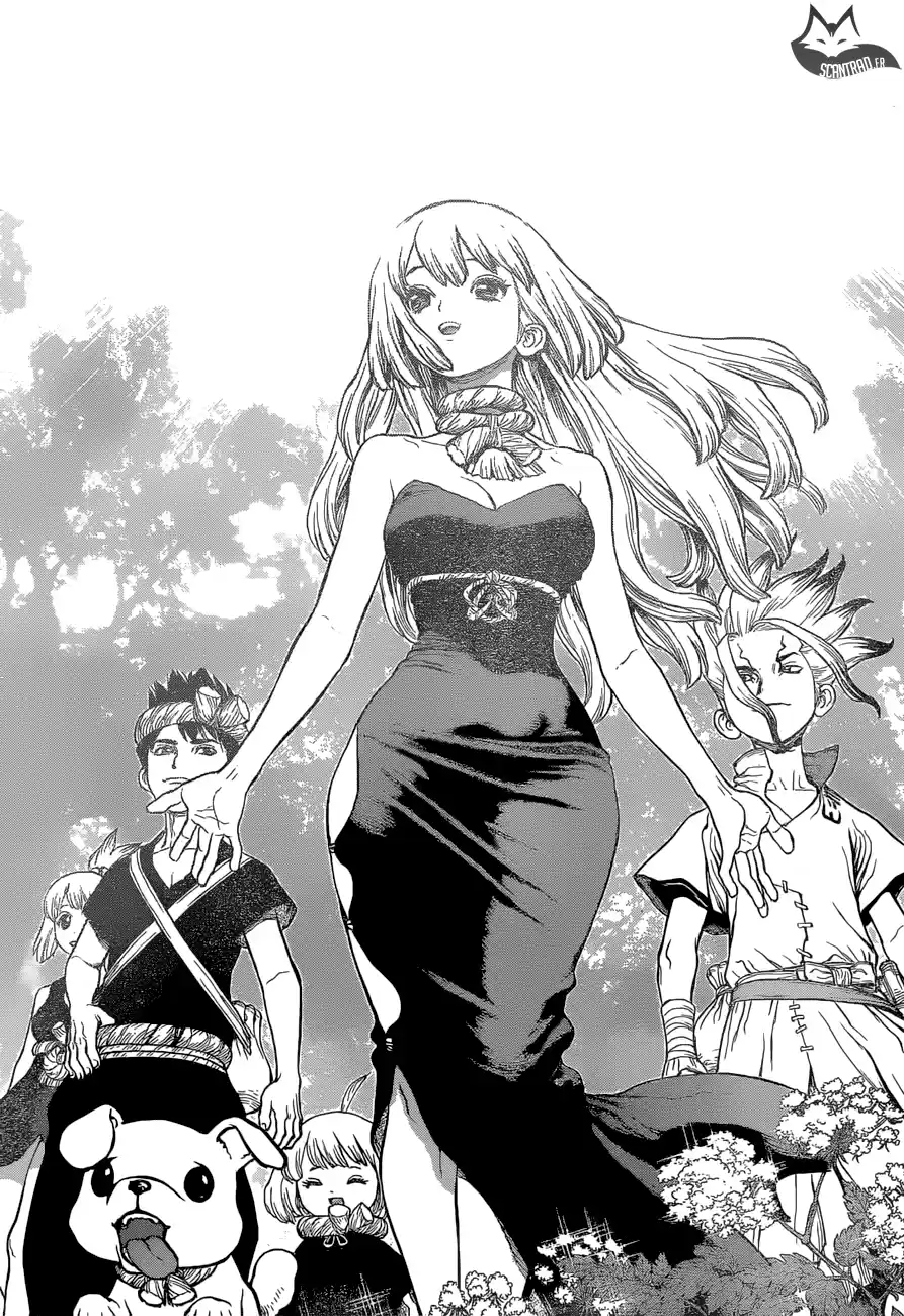 Read Dr. Stone FR Manga Online
