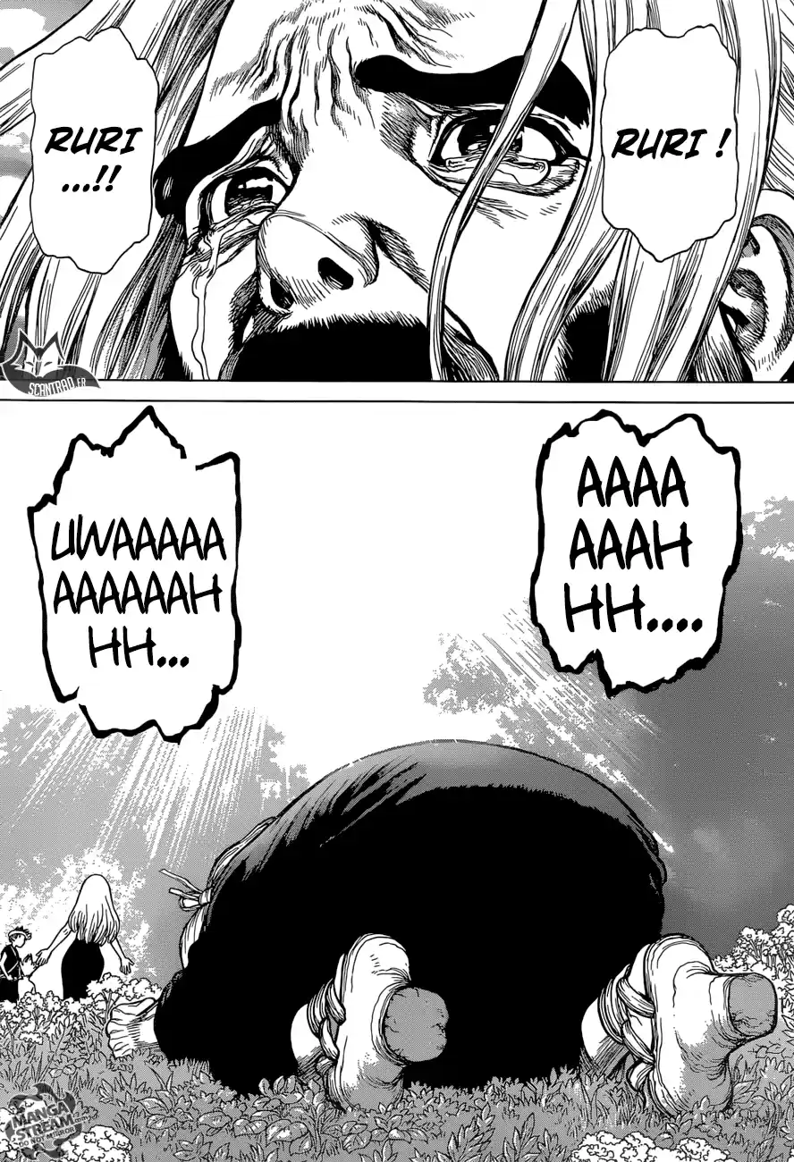 Read Dr. Stone FR Manga Online