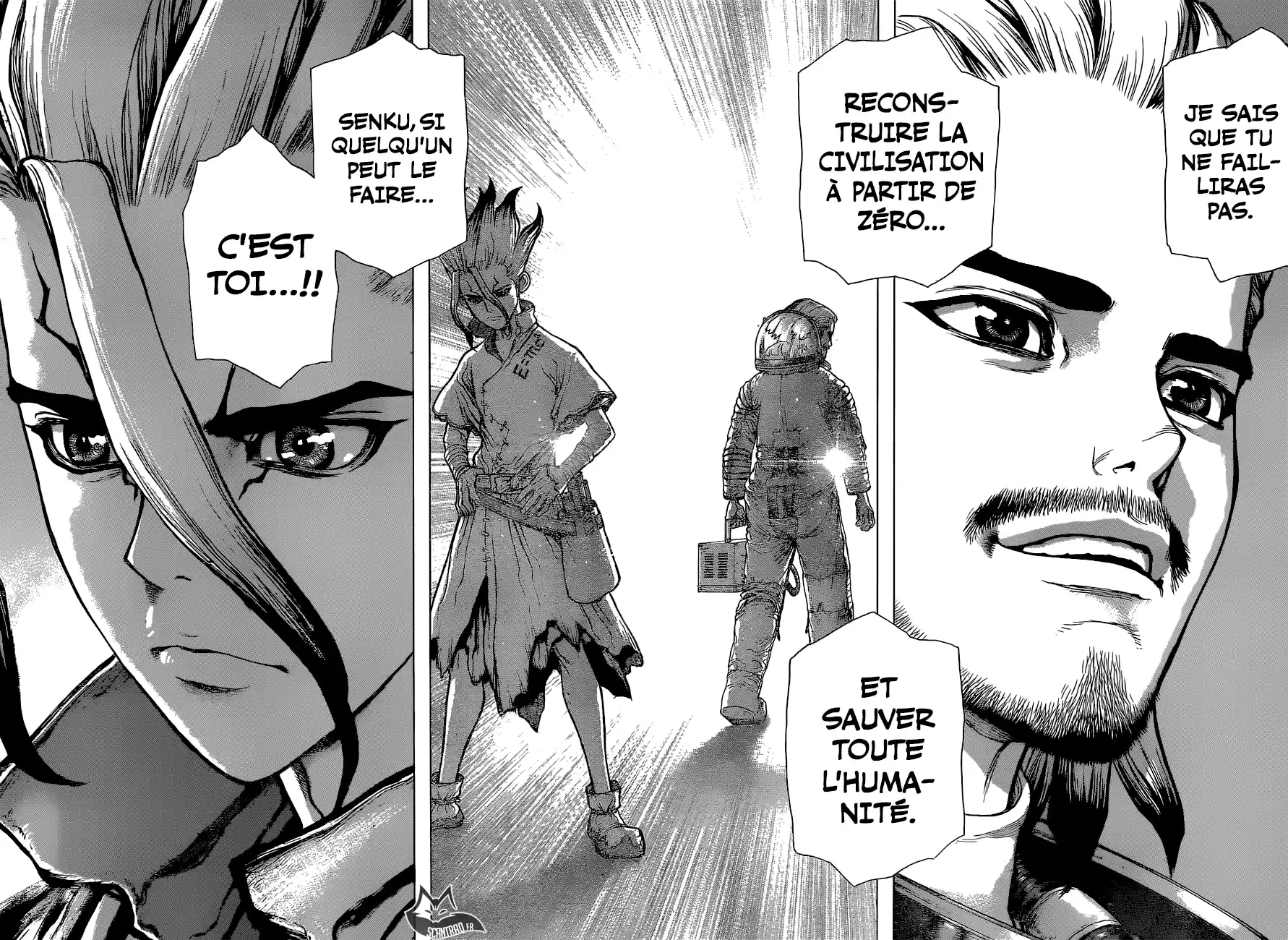 Read Dr. Stone FR Manga Online