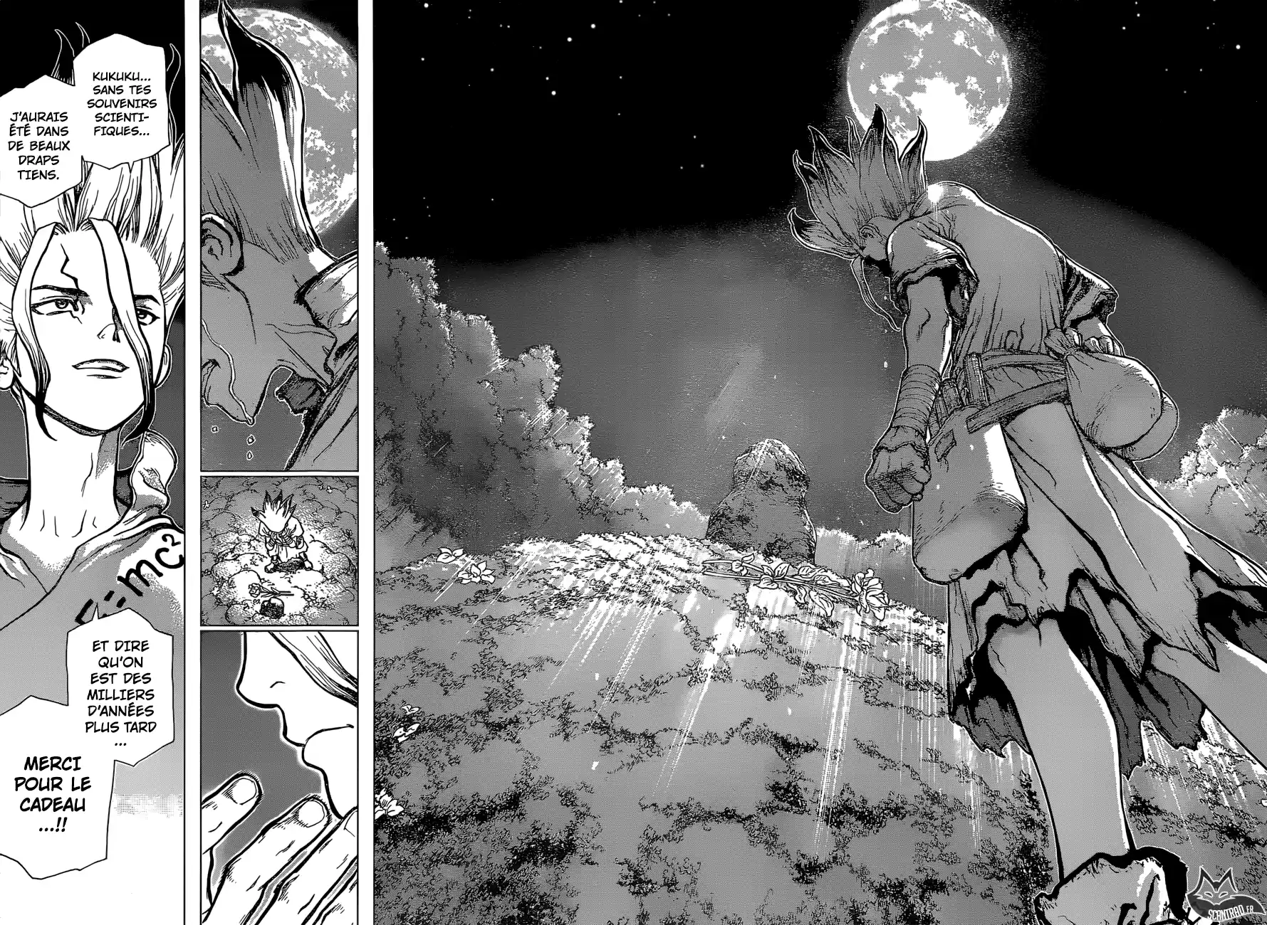 Read Dr. Stone FR Manga Online