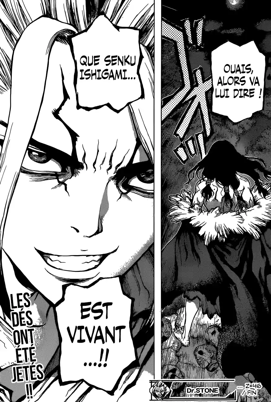Read Dr. Stone FR Manga Online