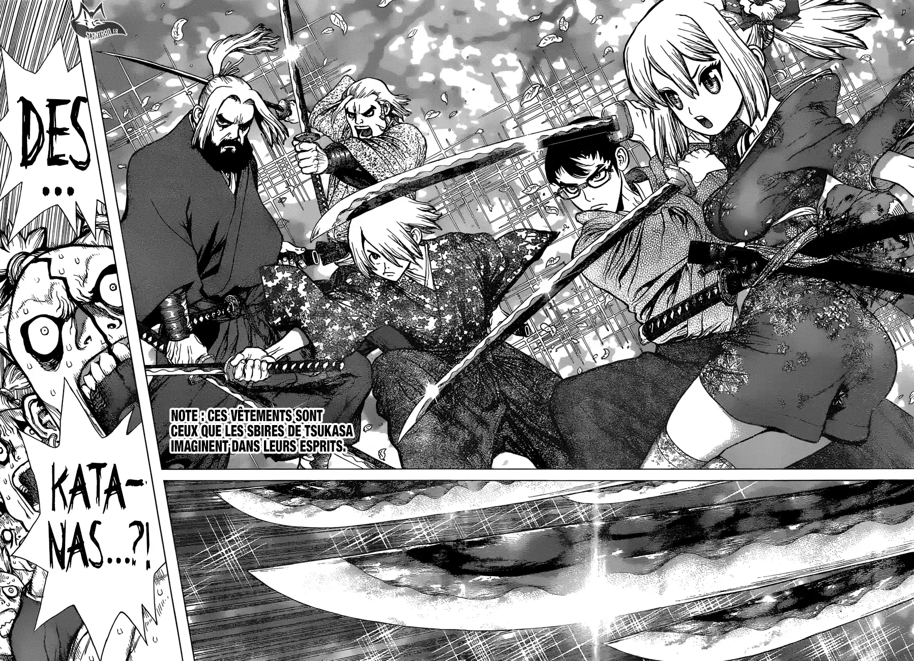 Read Dr. Stone FR Manga Online