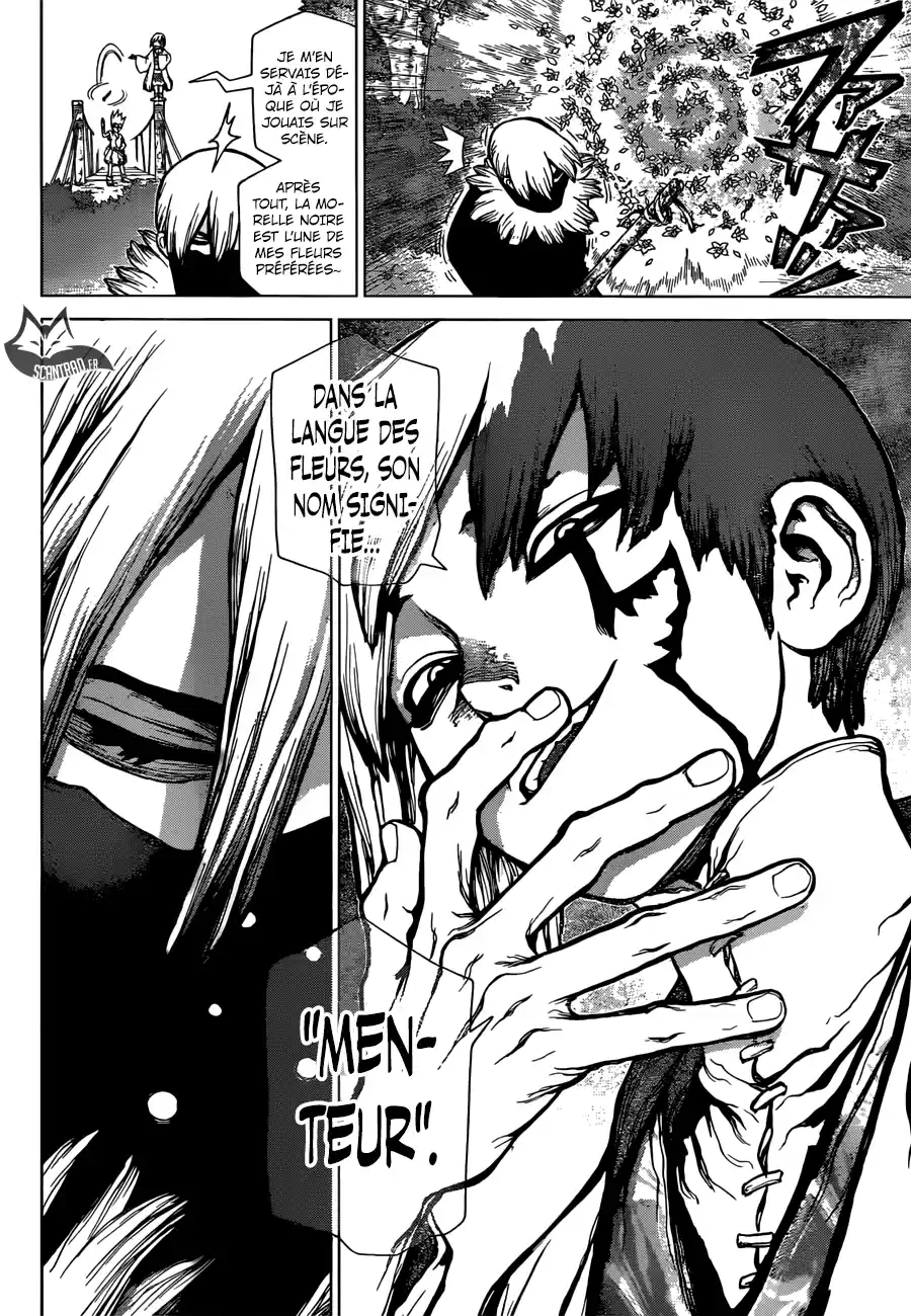Read Dr. Stone FR Manga Online