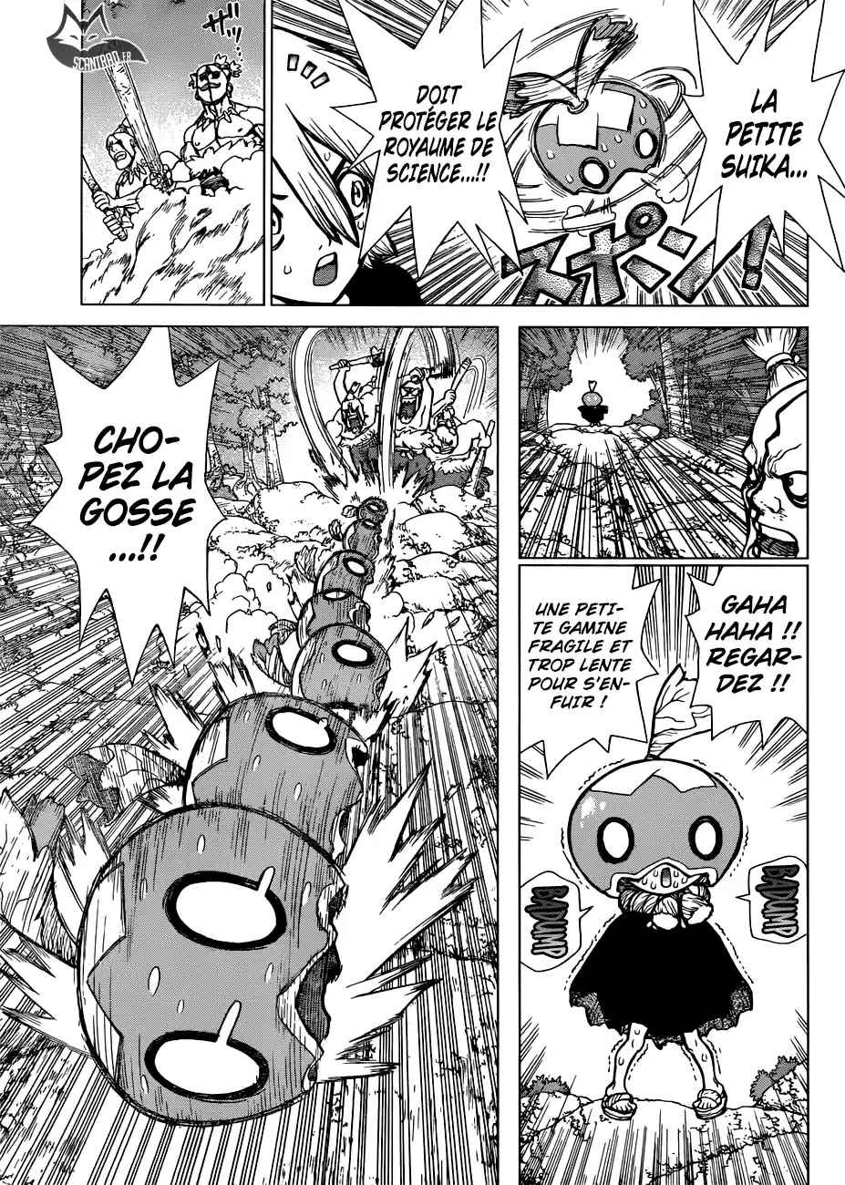 Read Dr. Stone FR Manga Online