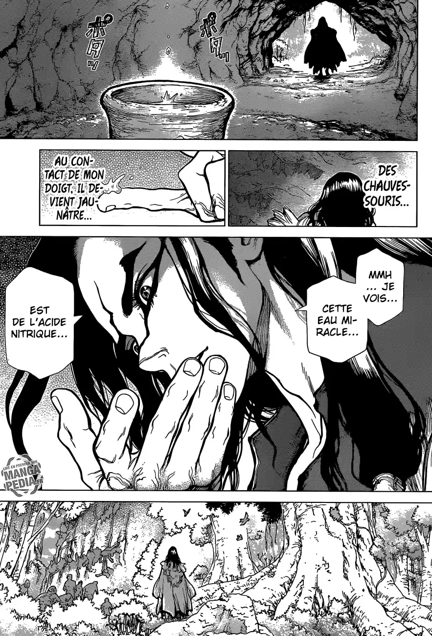 Read Dr. Stone FR Manga Online