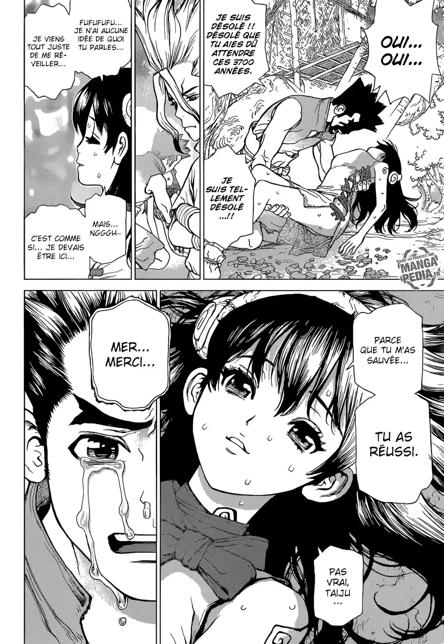 Read Dr. Stone FR Manga Online