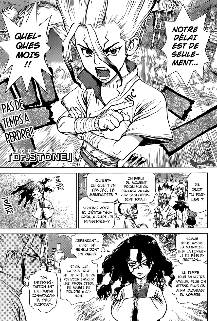 Read Dr. Stone FR Manga Online