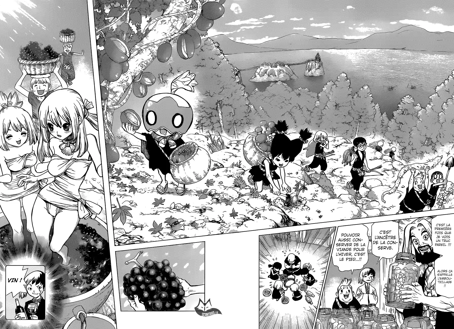 Read Dr. Stone FR Manga Online