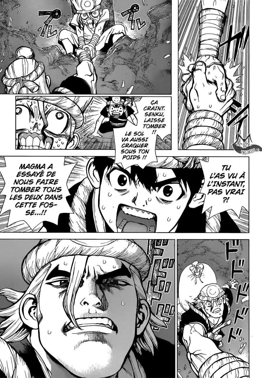 Read Dr. Stone FR Manga Online