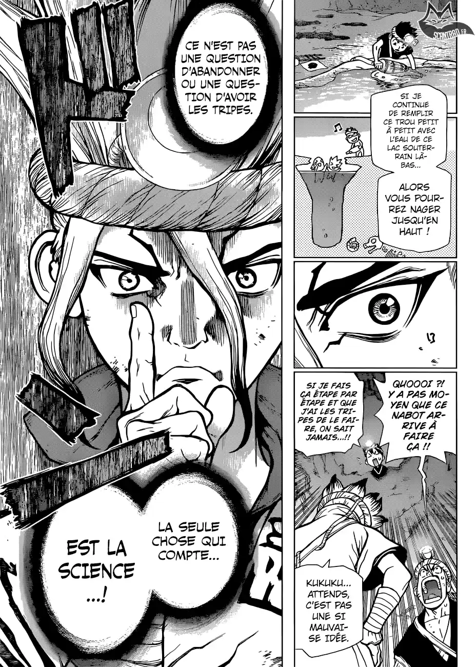 Read Dr. Stone FR Manga Online