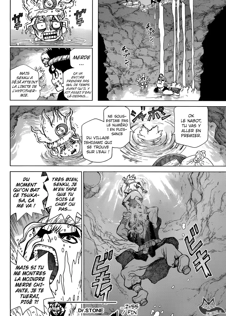 Read Dr. Stone FR Manga Online