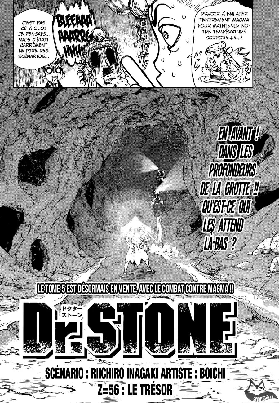 Read Dr. Stone FR Manga Online