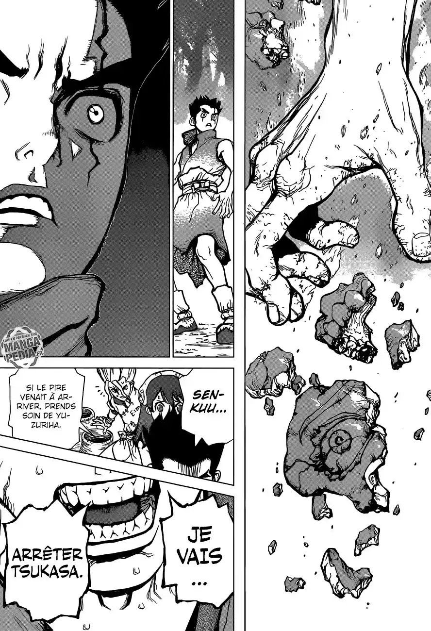 Read Dr. Stone FR Manga Online
