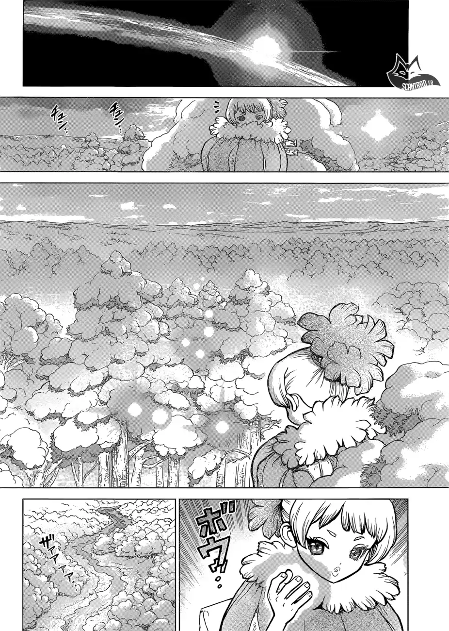 Read Dr. Stone FR Manga Online