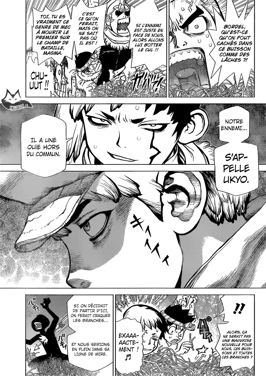 Read Dr. Stone FR Manga Online