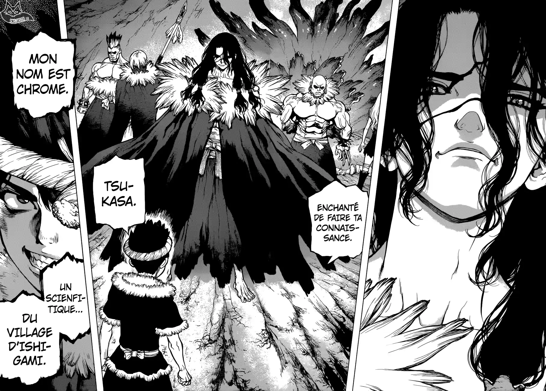 Read Dr. Stone FR Manga Online