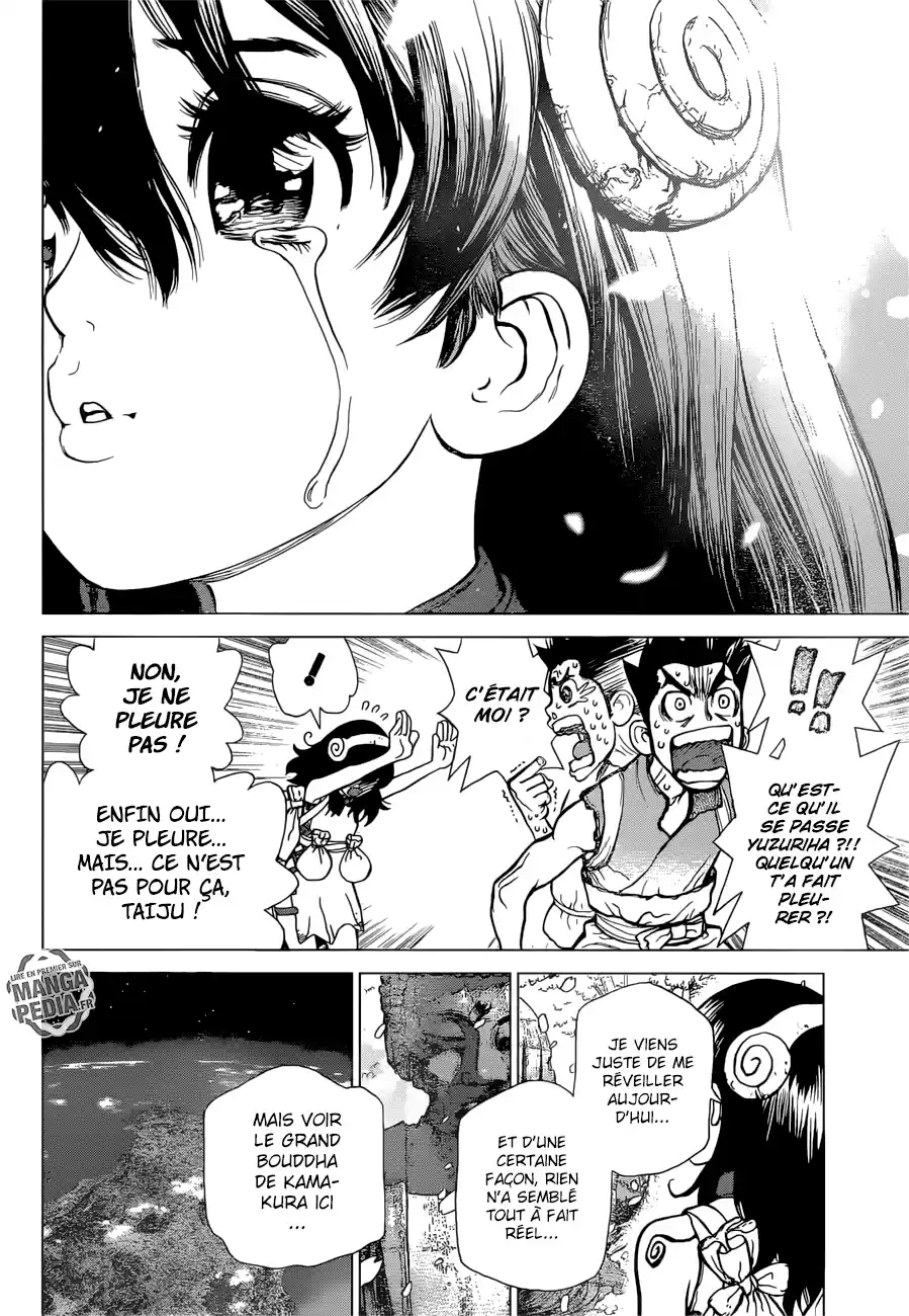 Read Dr. Stone FR Manga Online