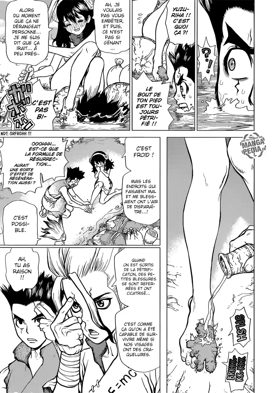 Read Dr. Stone FR Manga Online
