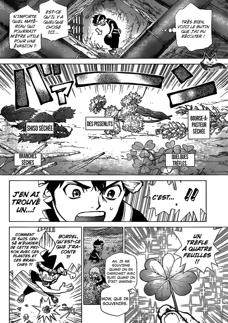 Read Dr. Stone FR Manga Online