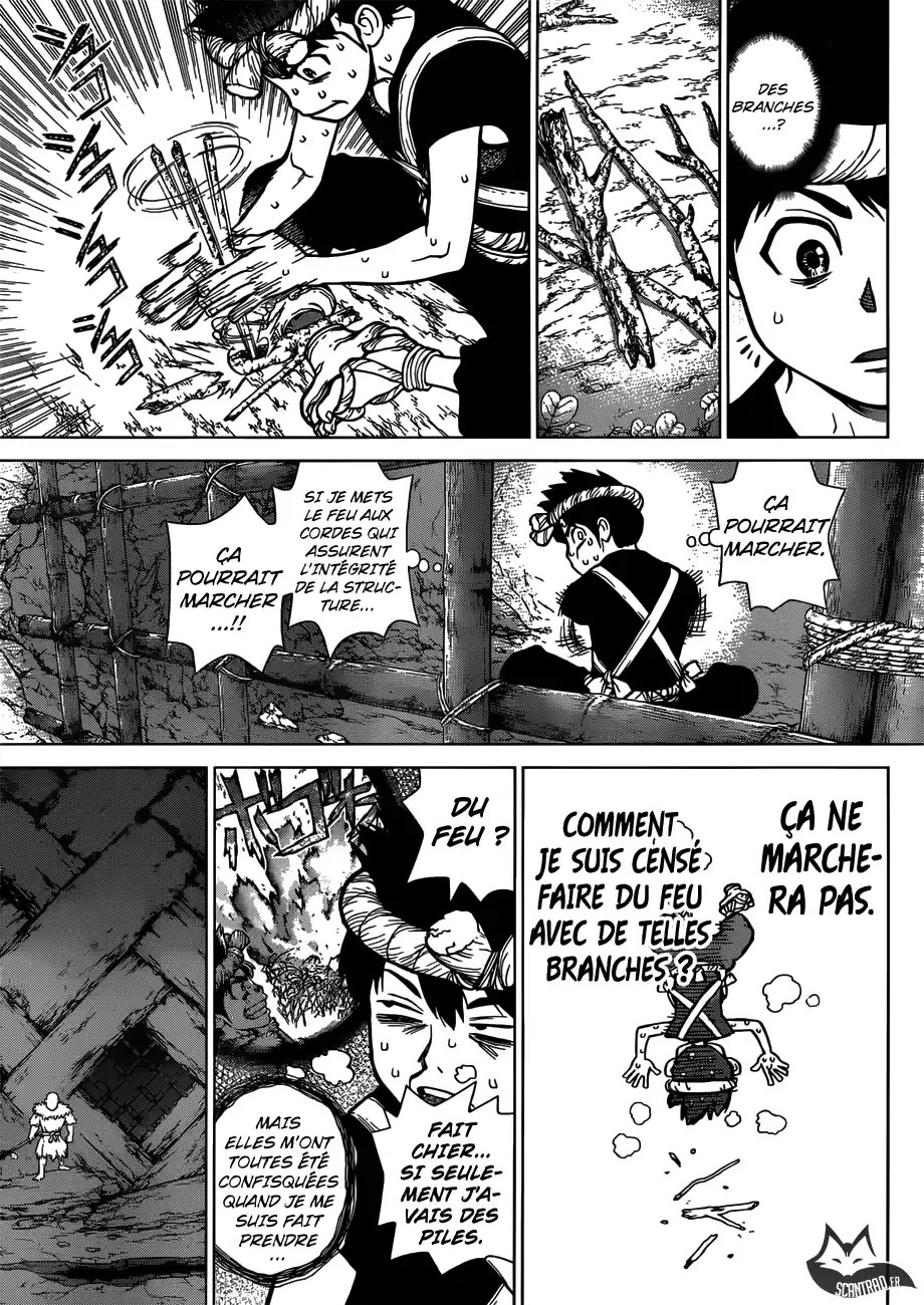 Read Dr. Stone FR Manga Online