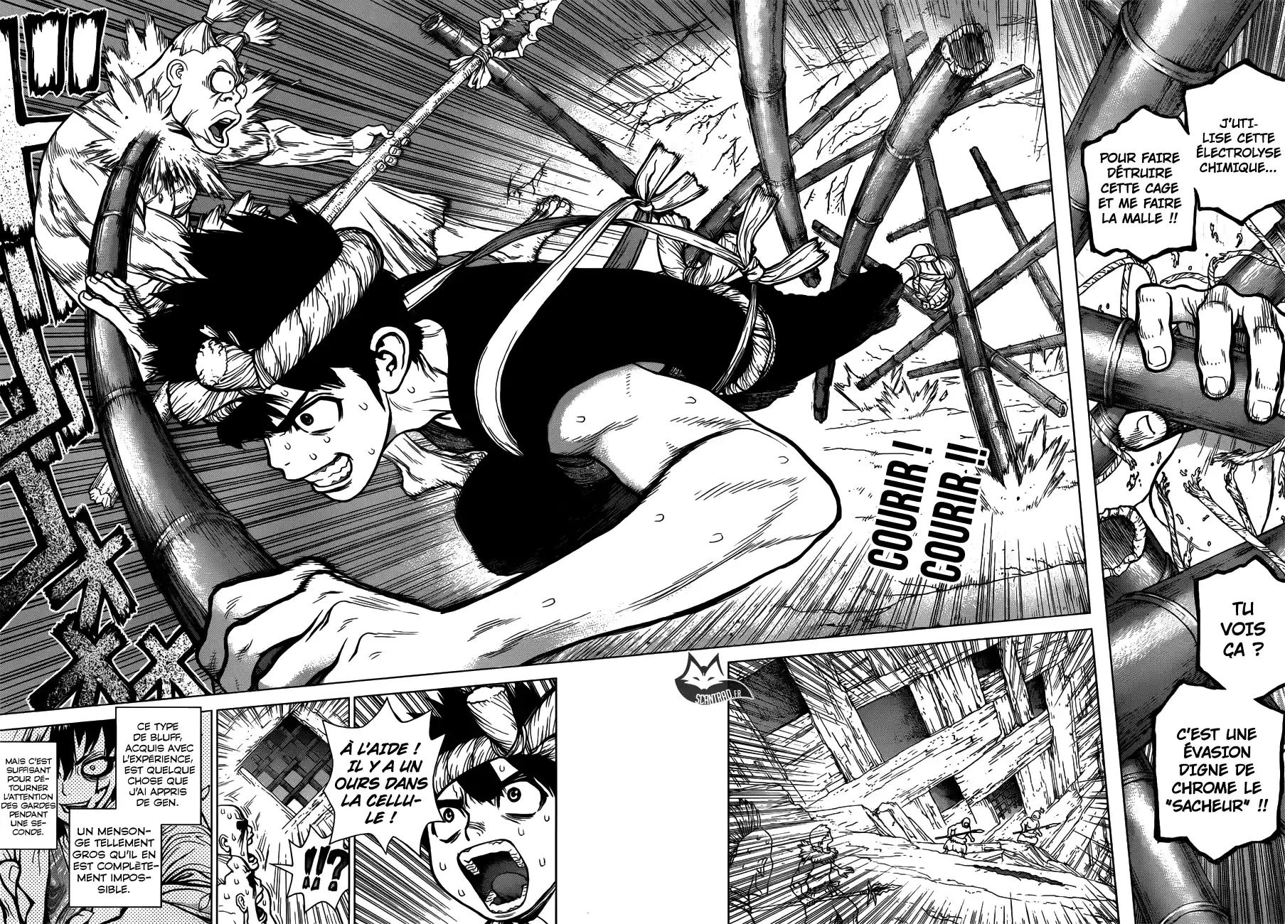 Read Dr. Stone FR Manga Online