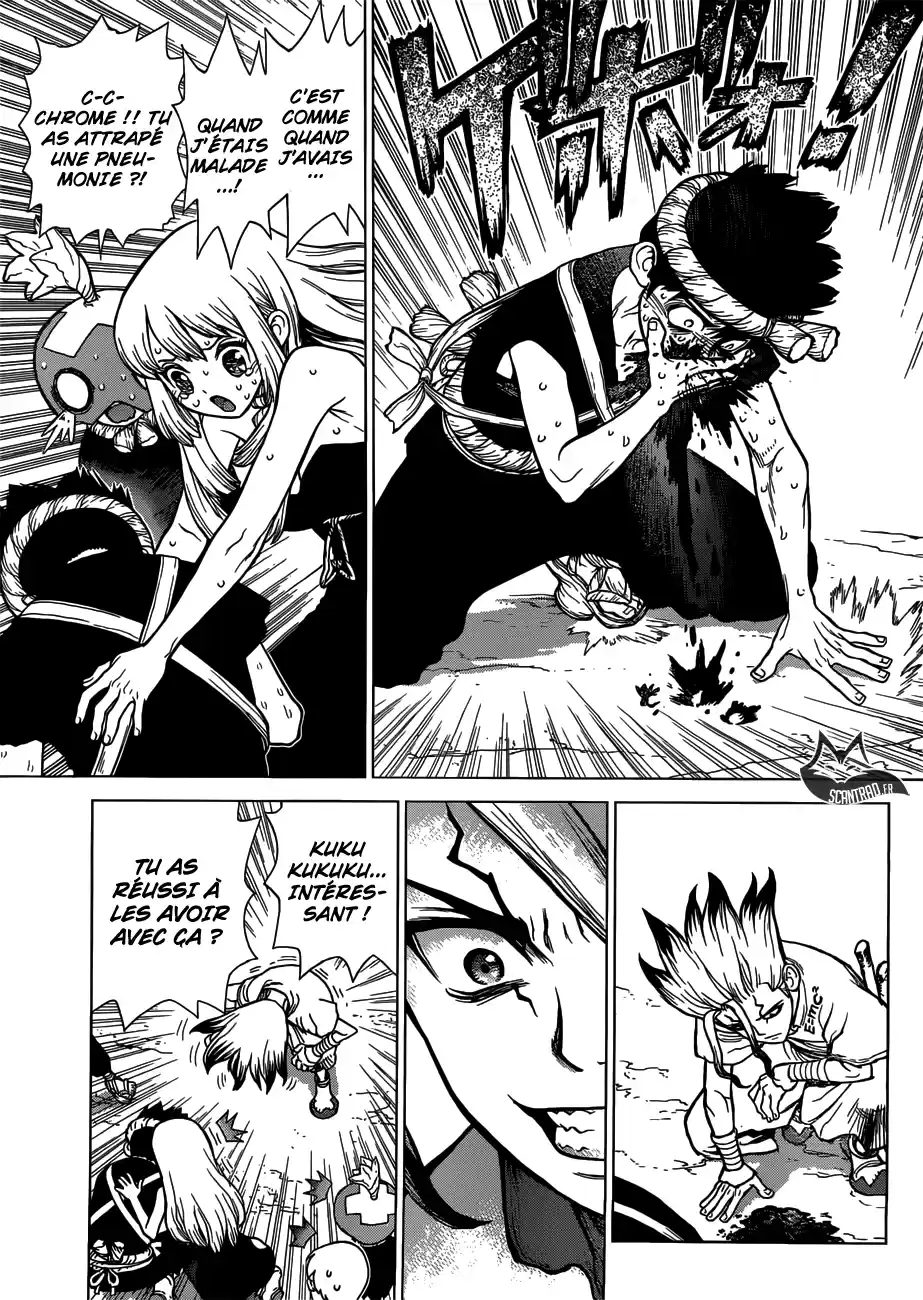 Read Dr. Stone FR Manga Online