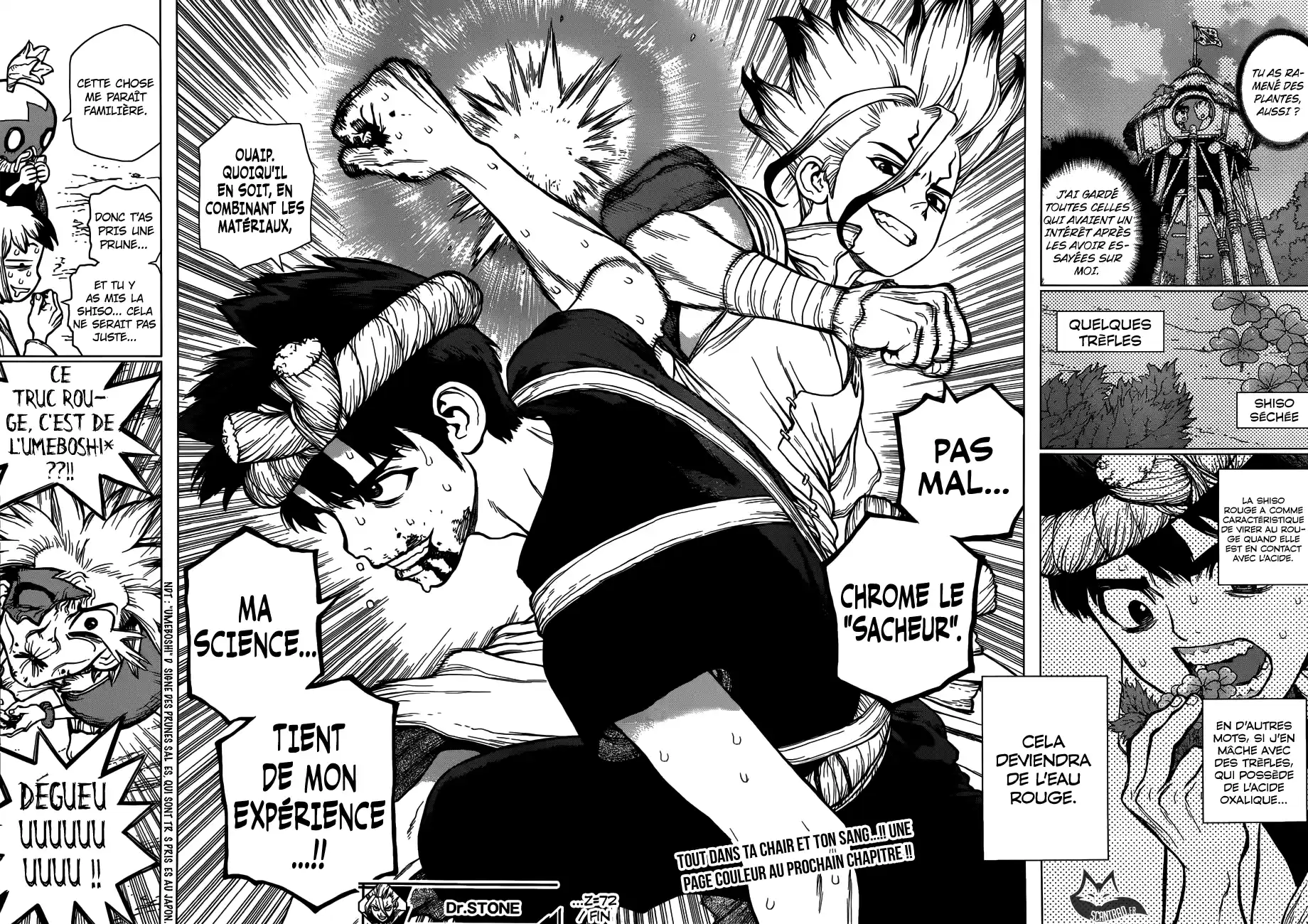 Read Dr. Stone FR Manga Online