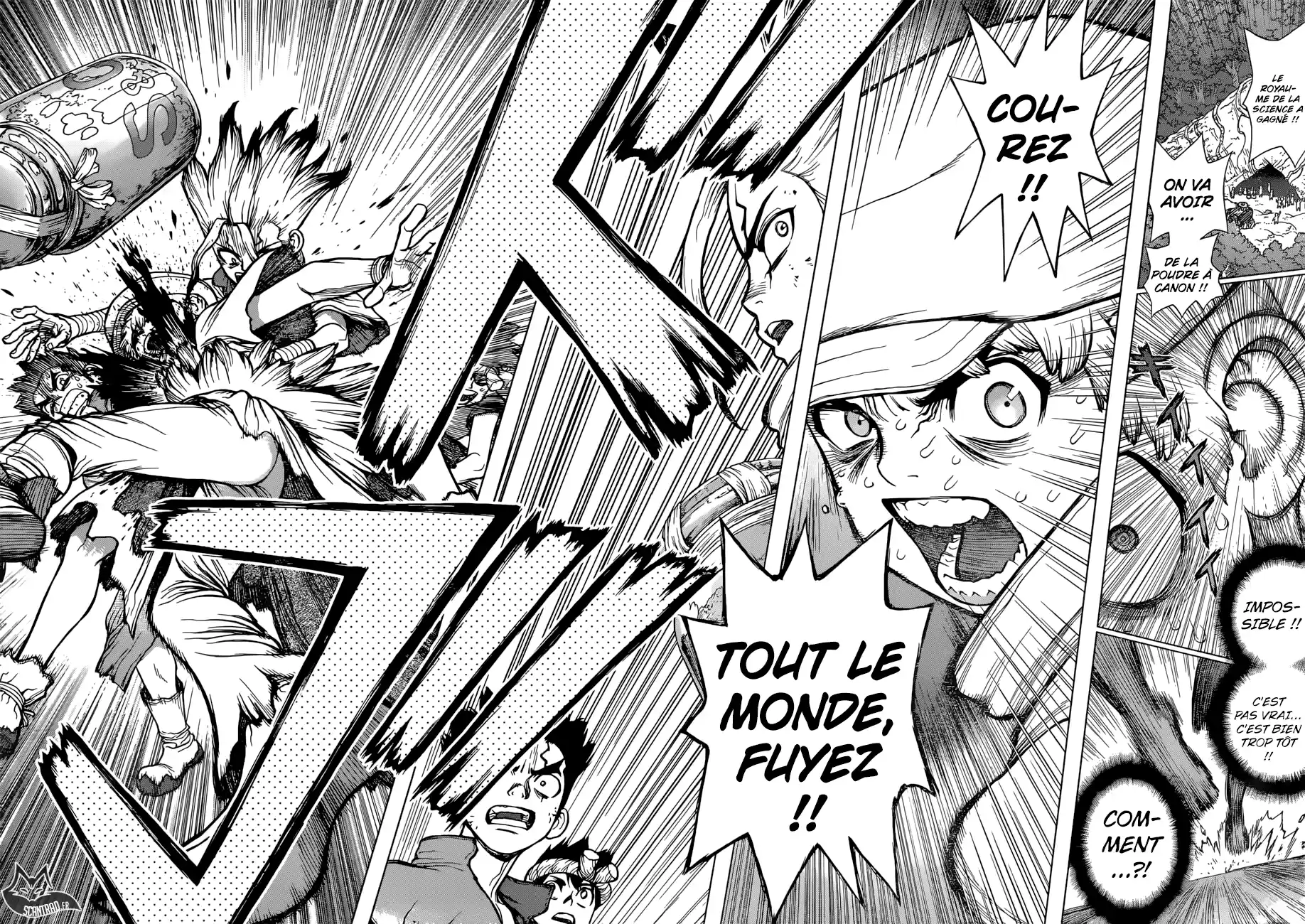 Read Dr. Stone FR Manga Online