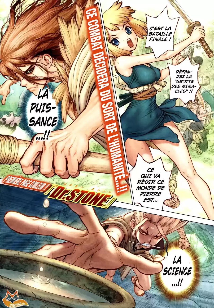 Read Dr. Stone FR Manga Online