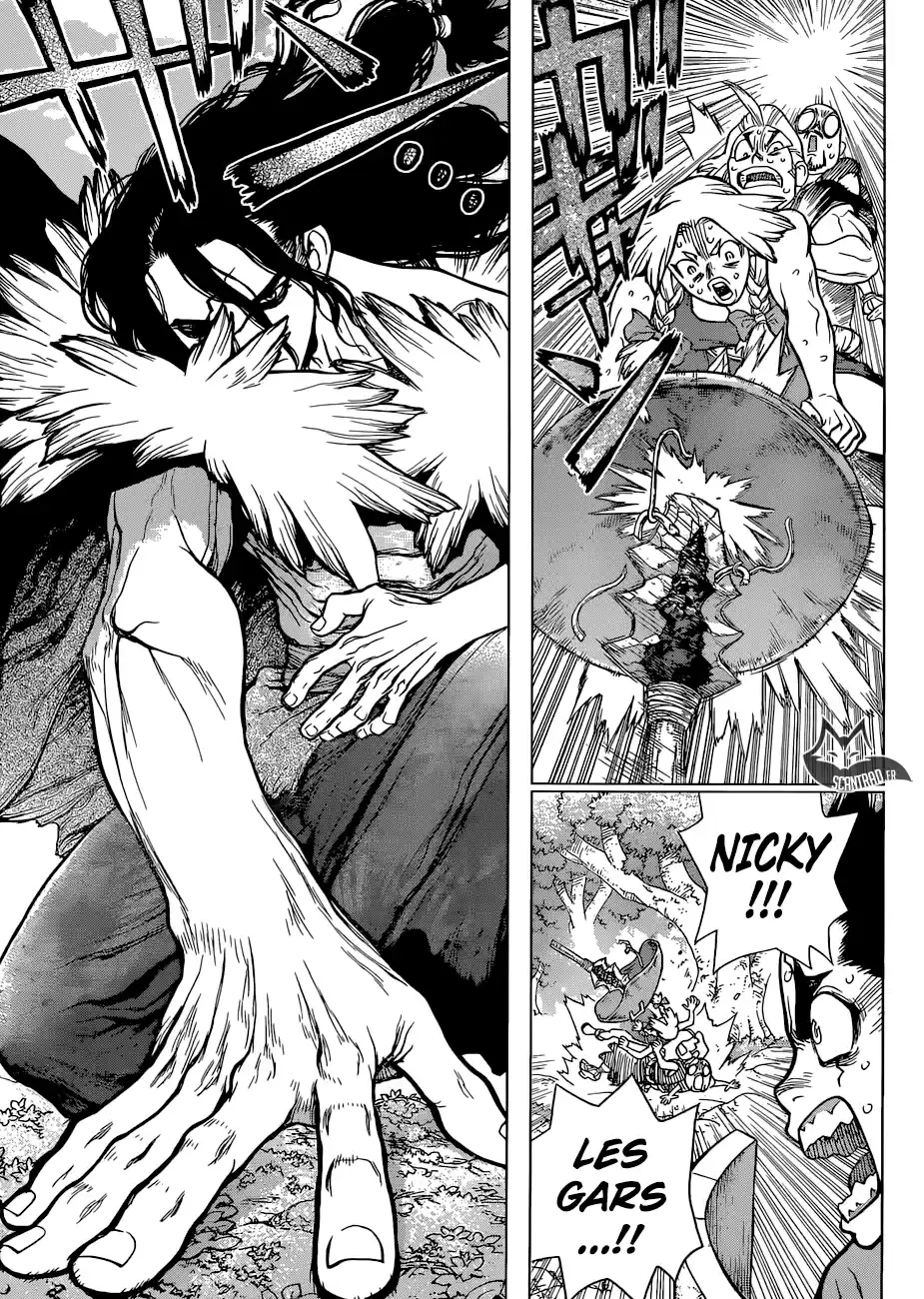Read Dr. Stone FR Manga Online