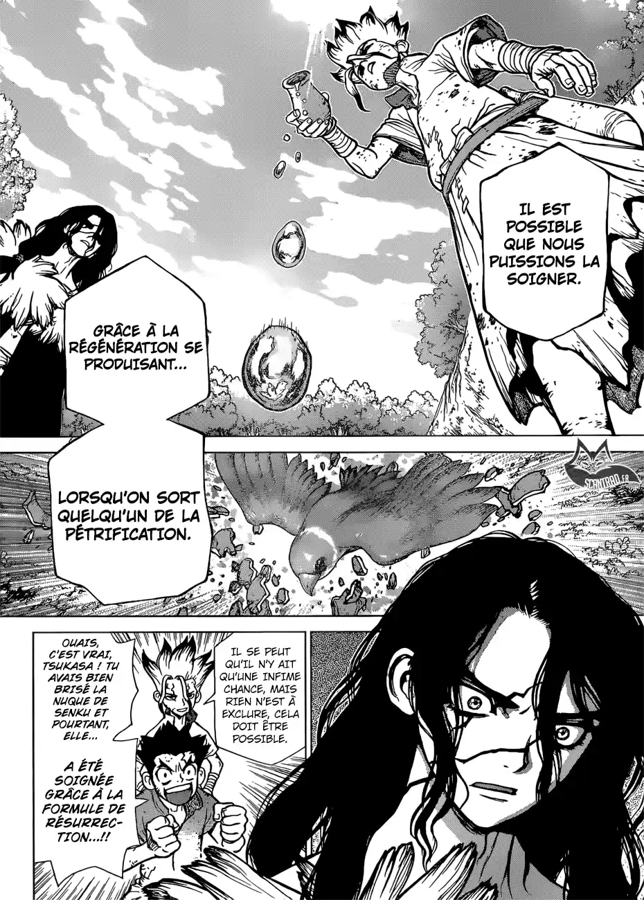 Read Dr. Stone FR Manga Online